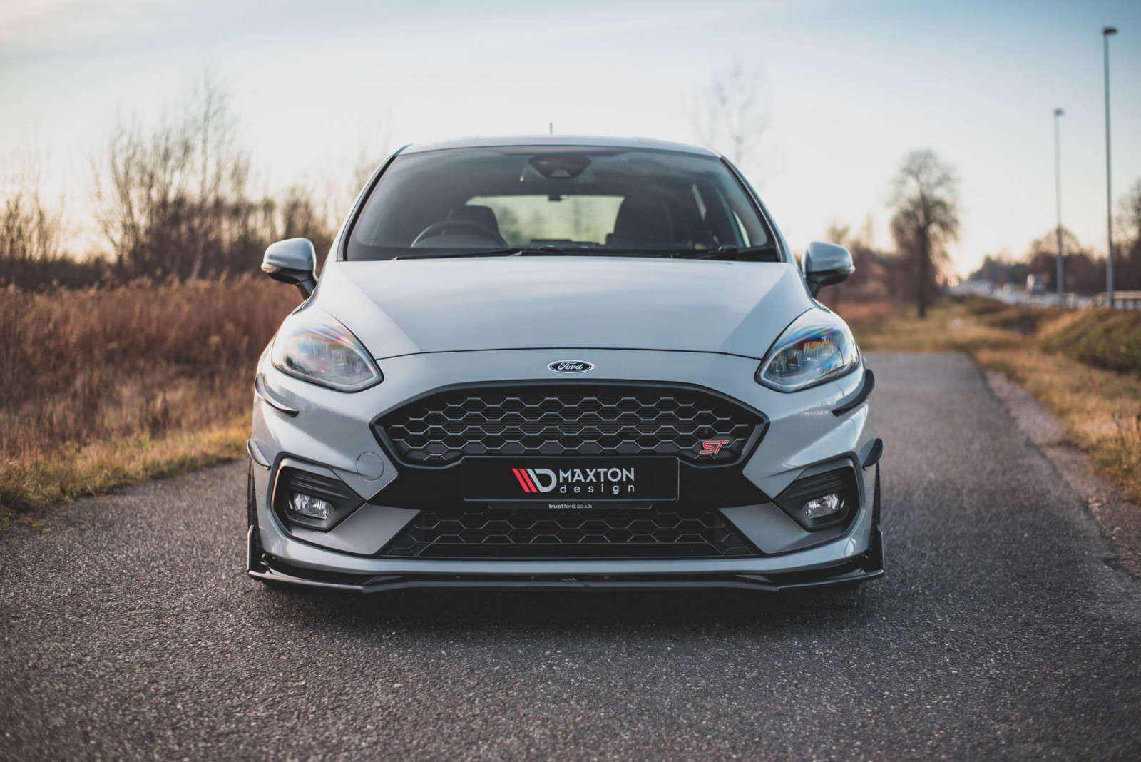 Grill Przedni Ford Fiesta ST Mk8